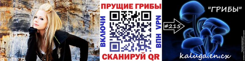 Галлюциногенные грибы Psilocybe Слободской
